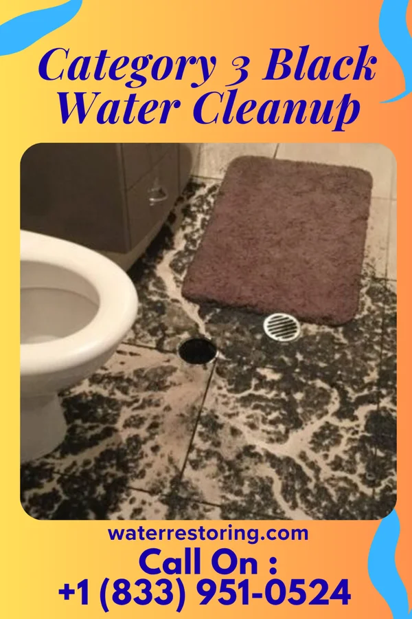 Category 3 Black Water Cleanup in Selinsgrove, PA