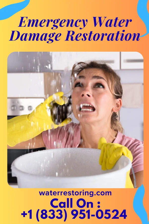 Emergency Water Damage Restoration in Selinsgrove, PA