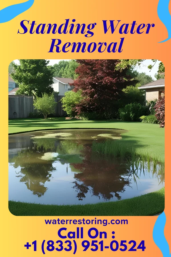 Standing Water Removal in Selinsgrove, PA
